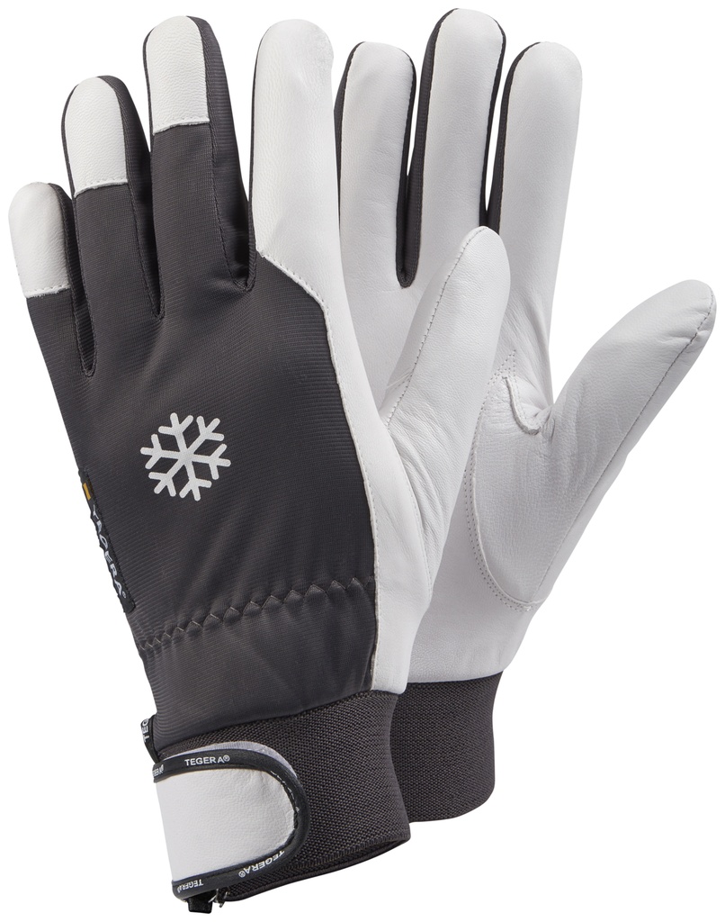 HANDSCHOEN TEGERA 117 (1PR)
