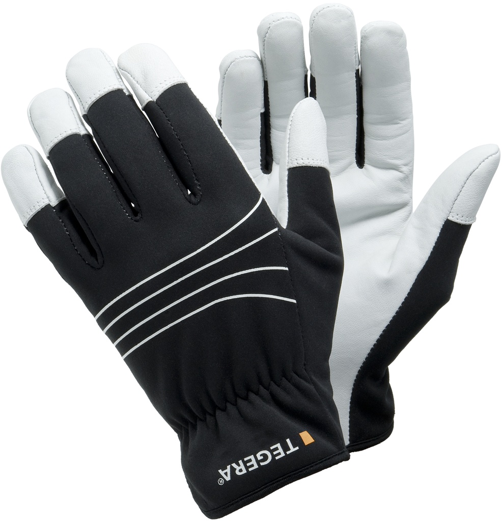GANT TEGERA 294 (1PR)