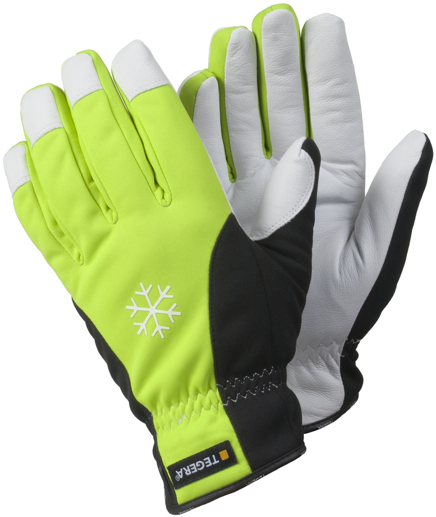 GANT TEGERA 293 (1PR)