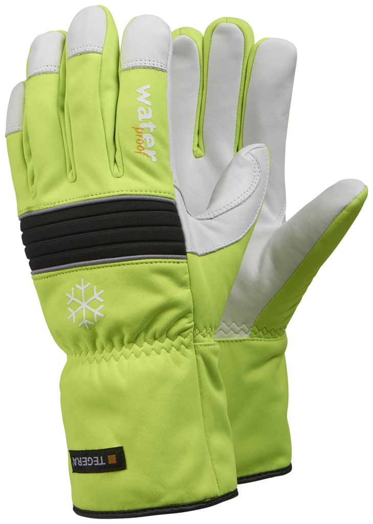 GANT TEGERA 299 (1PR)