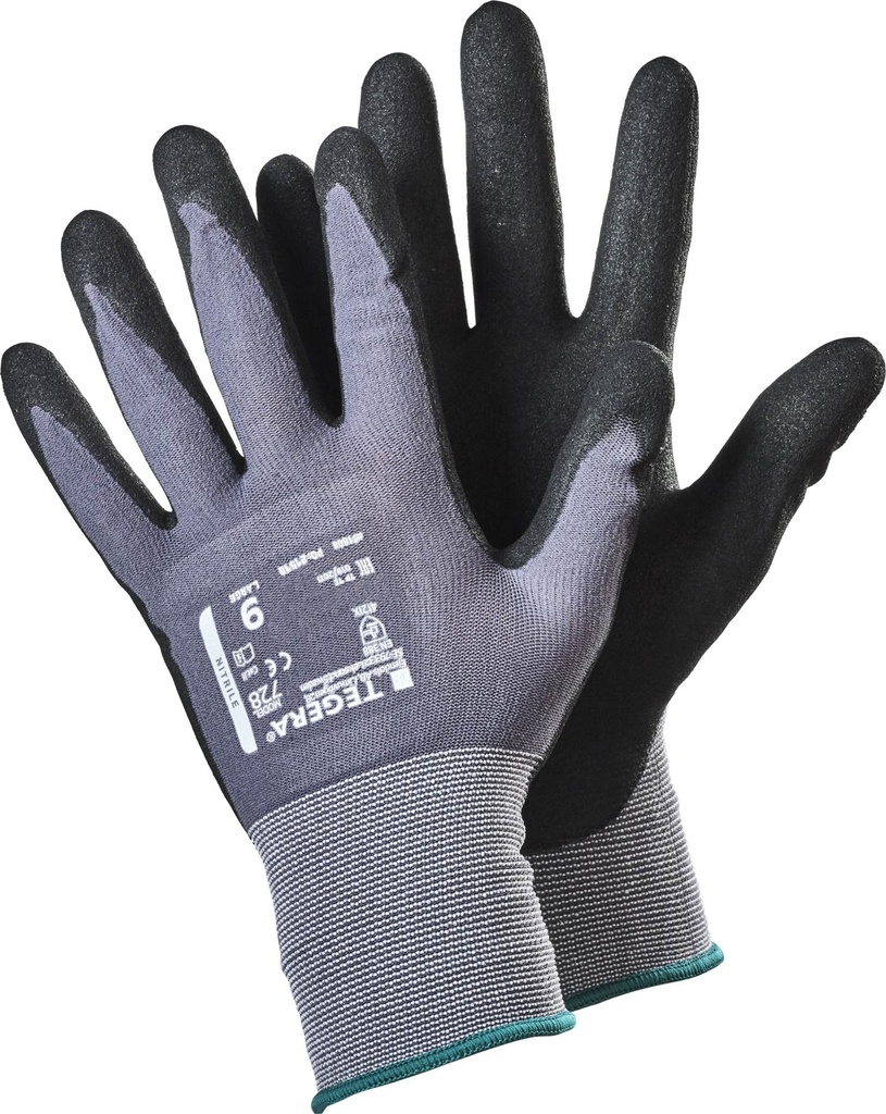 GANT TEGERA 728 (1PR)