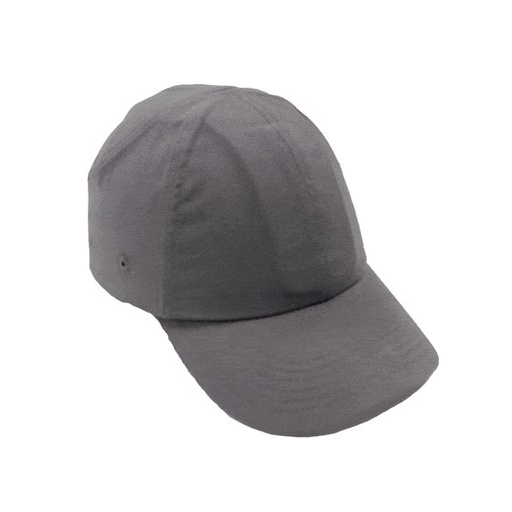 [1058128002] BUMPCAP LP (1ST)